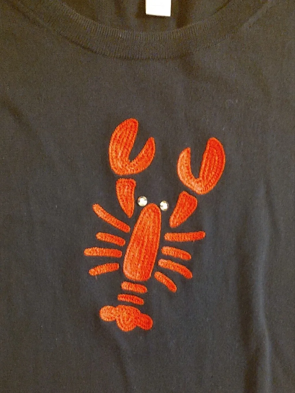 J Crew Women’s Navy Sweater with Red Lobster Motif